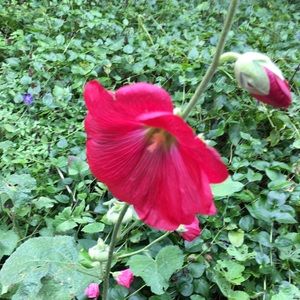 Meet your Posher, Lee